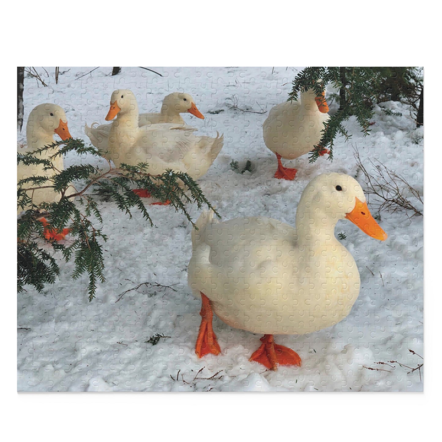 "White Ducks in the Snow" Backyard Ducks 500-Piece Puzzle
