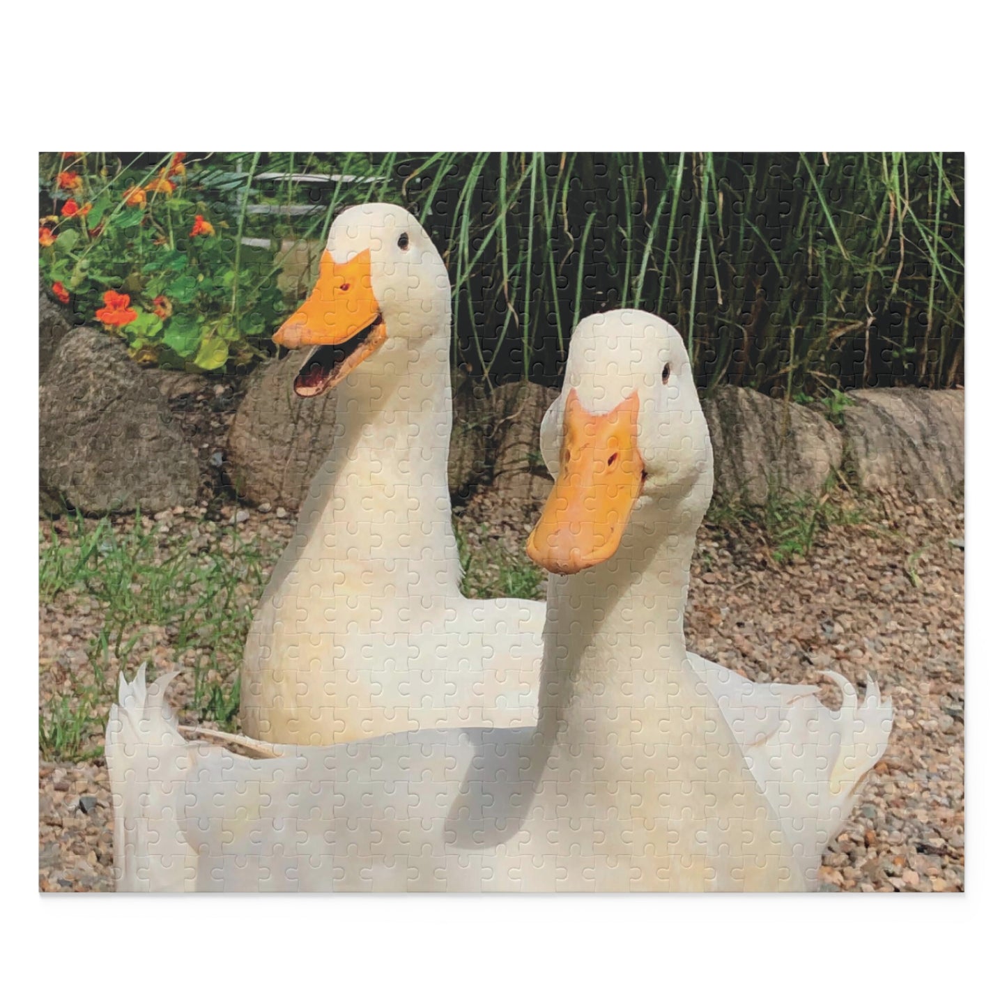 "When Ducks Smile" Backyard Ducks 500-Piece Puzzle