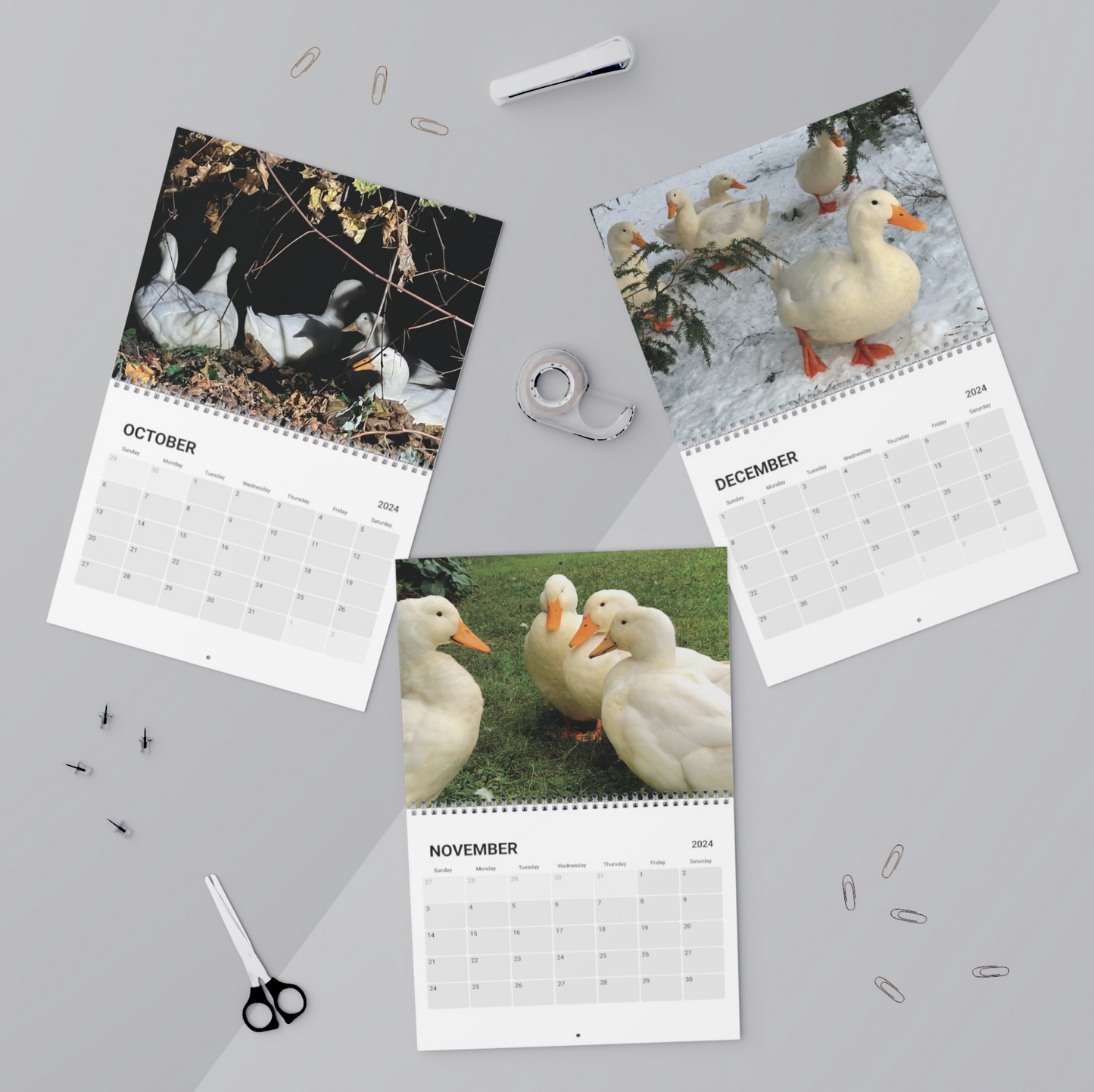 Backyard Ducks 2024 Wall Calendar