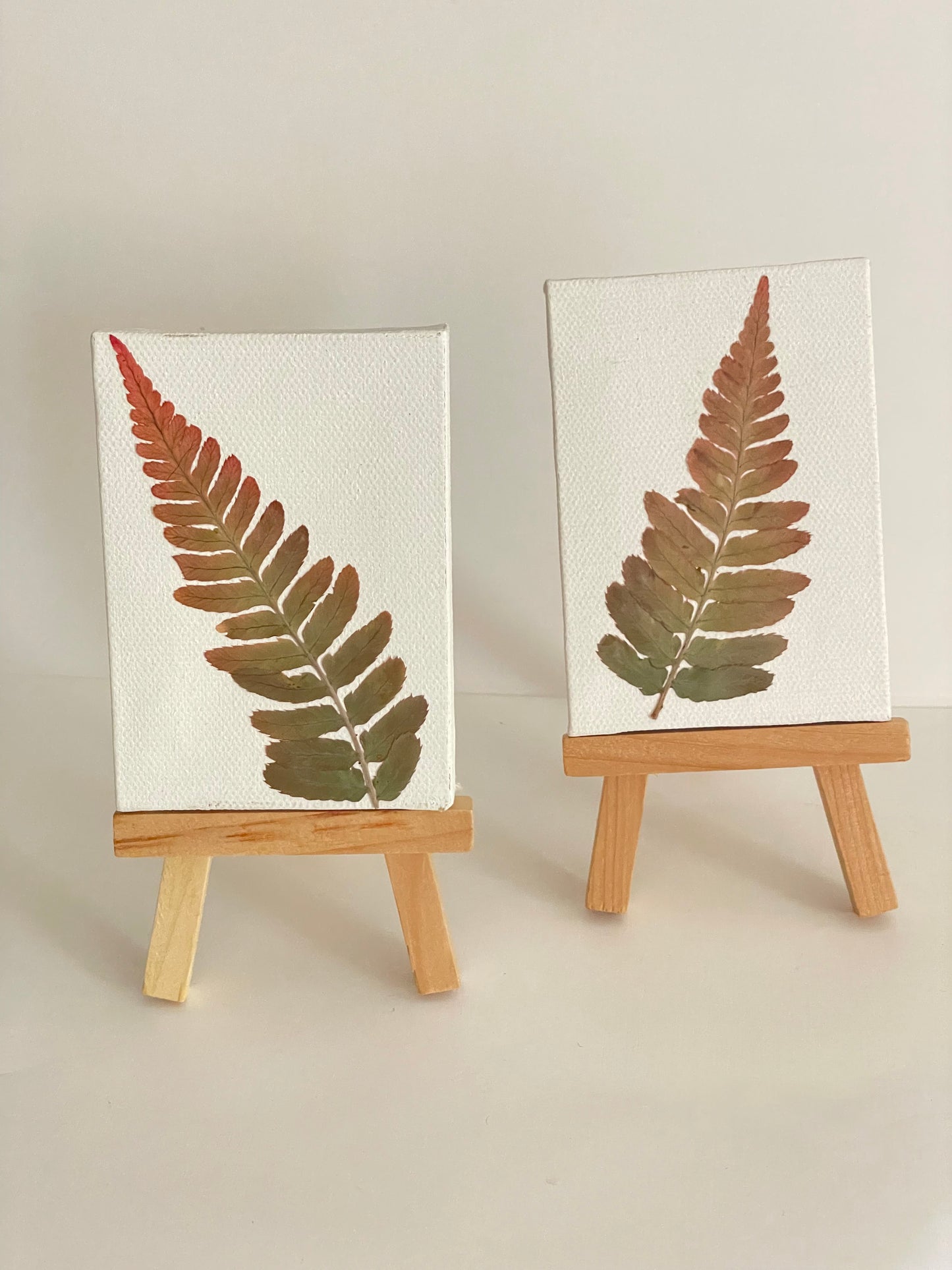 Pressed Japanese Painted Fern #2 on Mini Canvas with Easel